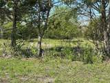 Tract 6 Farm To Market 1743 - Photo 8