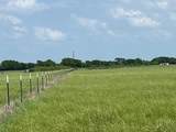 TBD County Road 129 - Photo 1