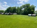 TBD County Road 129 - Photo 4