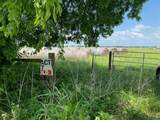 TBD County Road 129 - Photo 5
