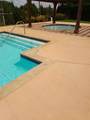 403 Colony Drive - Photo 9