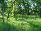 Lot 263 Ridgeline Drive - Photo 1