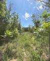 322 County Road 146 - Photo 33
