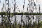 2077 B Shawver Road - Photo 3