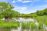 259 County Road 149 - Photo 40