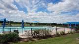 6817 Algarve Drive - Photo 32