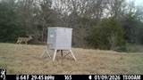 70+/- Acres Turner - Photo 38
