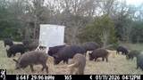 70+/- Acres Turner - Photo 39