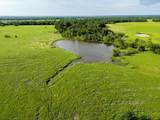 70+/- Acres Turner - Photo 4