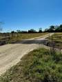 70+/- Acres Turner - Photo 9