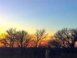 980 League Ranch Road - Photo 38