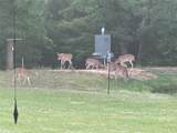 20741 State Highway 155 - Photo 39
