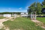 10054 22 Highway - Photo 11