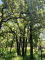 5925 Hwy 287 - Photo 7