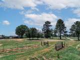 1273 County Road 1236 - Photo 12