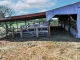 1273 County Road 1236 - Photo 16