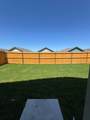 814 Pawpaw Drive - Photo 15
