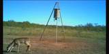 CR 209 County Road 209 - Photo 28