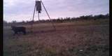 CR 209 County Road 209 - Photo 30