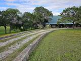 231 County Road 1523 - Photo 4