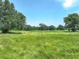 TBD County Road 1131 - Photo 4