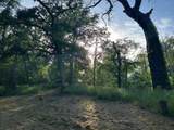 650 County Road 82 - Photo 22
