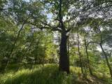 650 County Road 82 - Photo 23