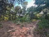 650 County Road 82 - Photo 38