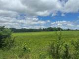 Lot 10 County Road 1400 - Photo 27