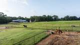 21384 County Road 116 - Photo 28