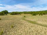 TBD-21.5 acres County Road 517 - Photo 11