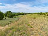 TBD-21.5 acres County Road 517 - Photo 14