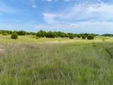 TBD-21.5 acres County Road 517 - Photo 17