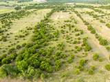 TBD-21.5 acres County Road 517 - Photo 24