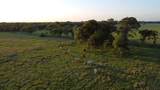 2852 243 Highway - Photo 7