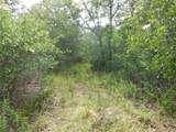 TBD County Road 340 - Photo 11