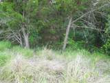 TBD County Road 340 - Photo 26