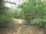 TBD County Road 340 - Photo 30