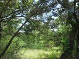 TBD County Road 340 - Photo 7