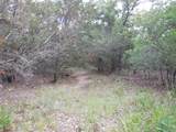 TBD County Road 340 - Photo 9