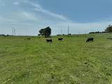 1630 Fm 1198 - Photo 6