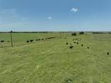 1630 Fm 1198 - Photo 7