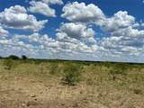 0000 Turtle Hole Rd. Road - Photo 11