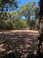 TBD Triple N Ranch Road - Photo 11