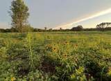TBD Hwy 220 Tract 5 - Photo 10