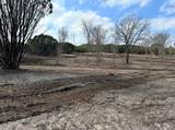TBD Hwy 220 Tract 5 - Photo 13