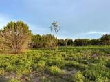TBD Hwy 220 Tract 5 - Photo 8