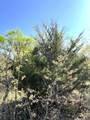 30 County Road 4515 - Photo 10