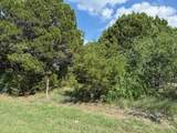 40038 Fringewood Drive - Photo 1