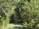 40038 Fringewood Drive - Photo 2